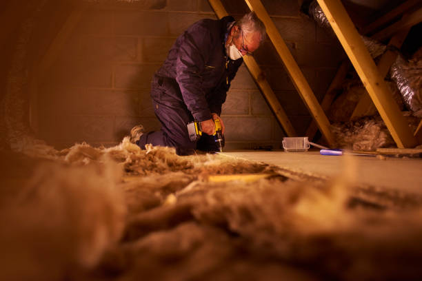 Types of Insulation We Offer in Haiku Pauwela, HI